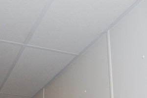 Agro-Esk fiberglass ceiling tiles