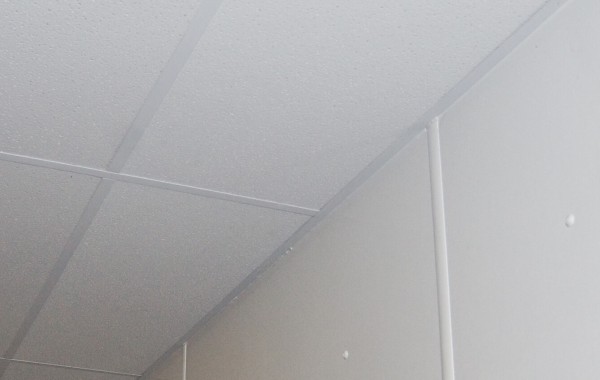 Agro-Esk fiberglass ceiling tiles