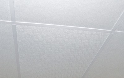 Agro-Esk tuile de plafond suspendu
