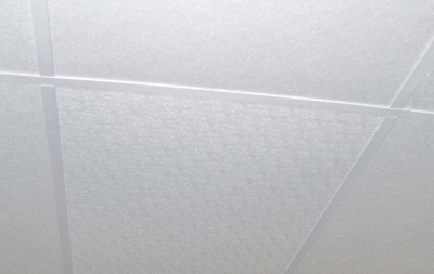 Agro-Esk fiberglass ceiling panels